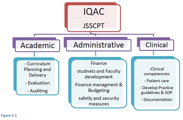 jssphysiotherapy-structure-and-mechanism-of-IQAC
